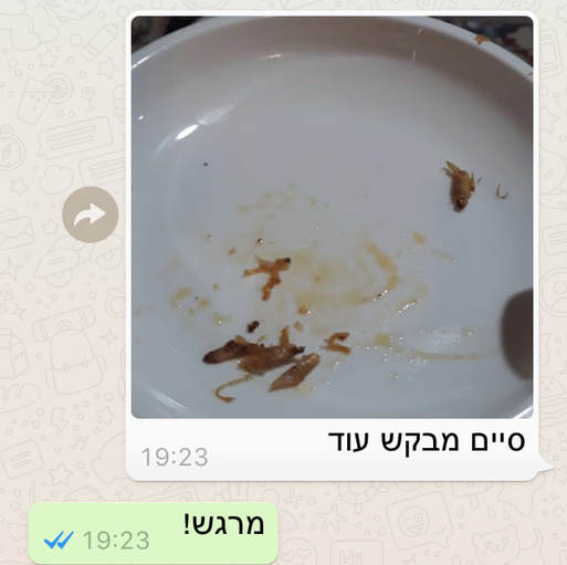 המלצה0
